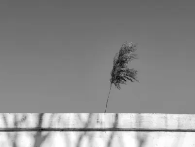 Kazino Classy Slots Mobilā lietotne